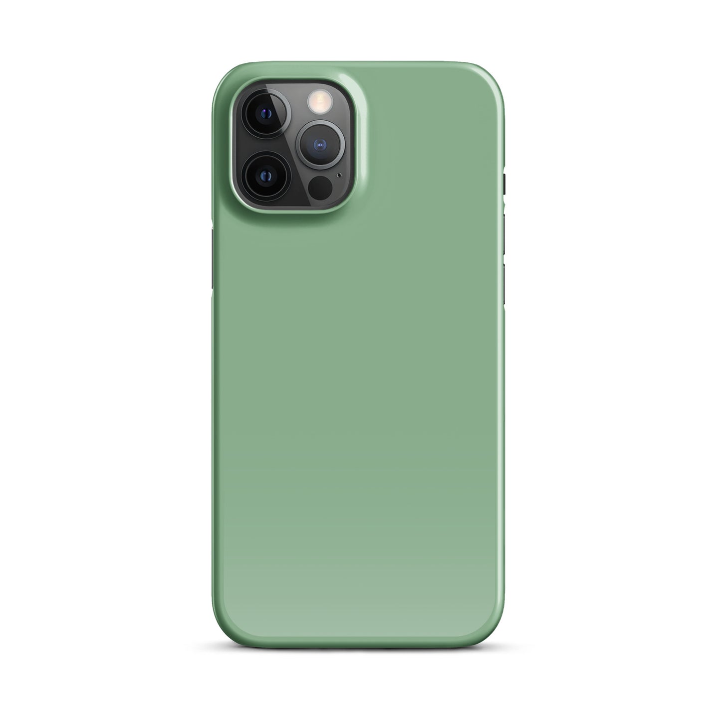 Dark Sea Green Snap case for iPhone®